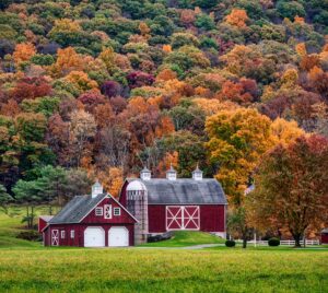 Image of a barn set against a fall coloured rural backdrop.